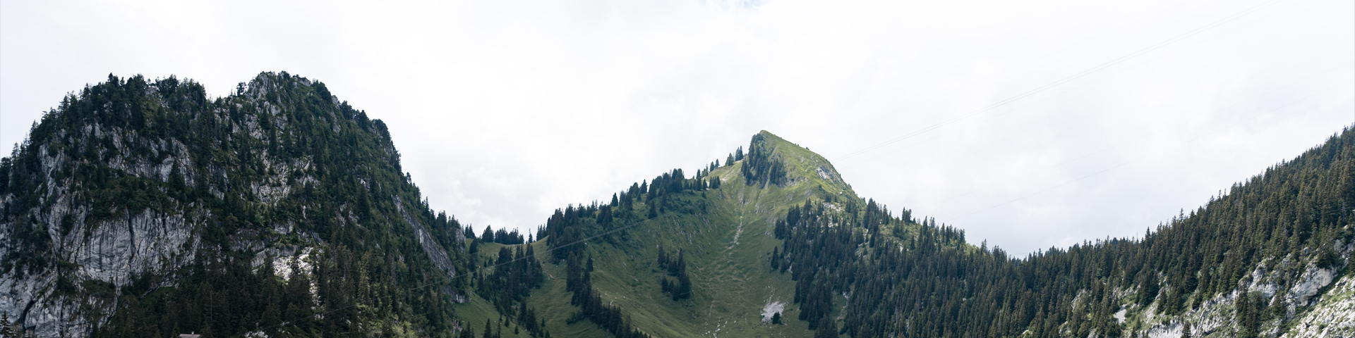 张家界新思路国际旅行社有限公司驻马店营业网点